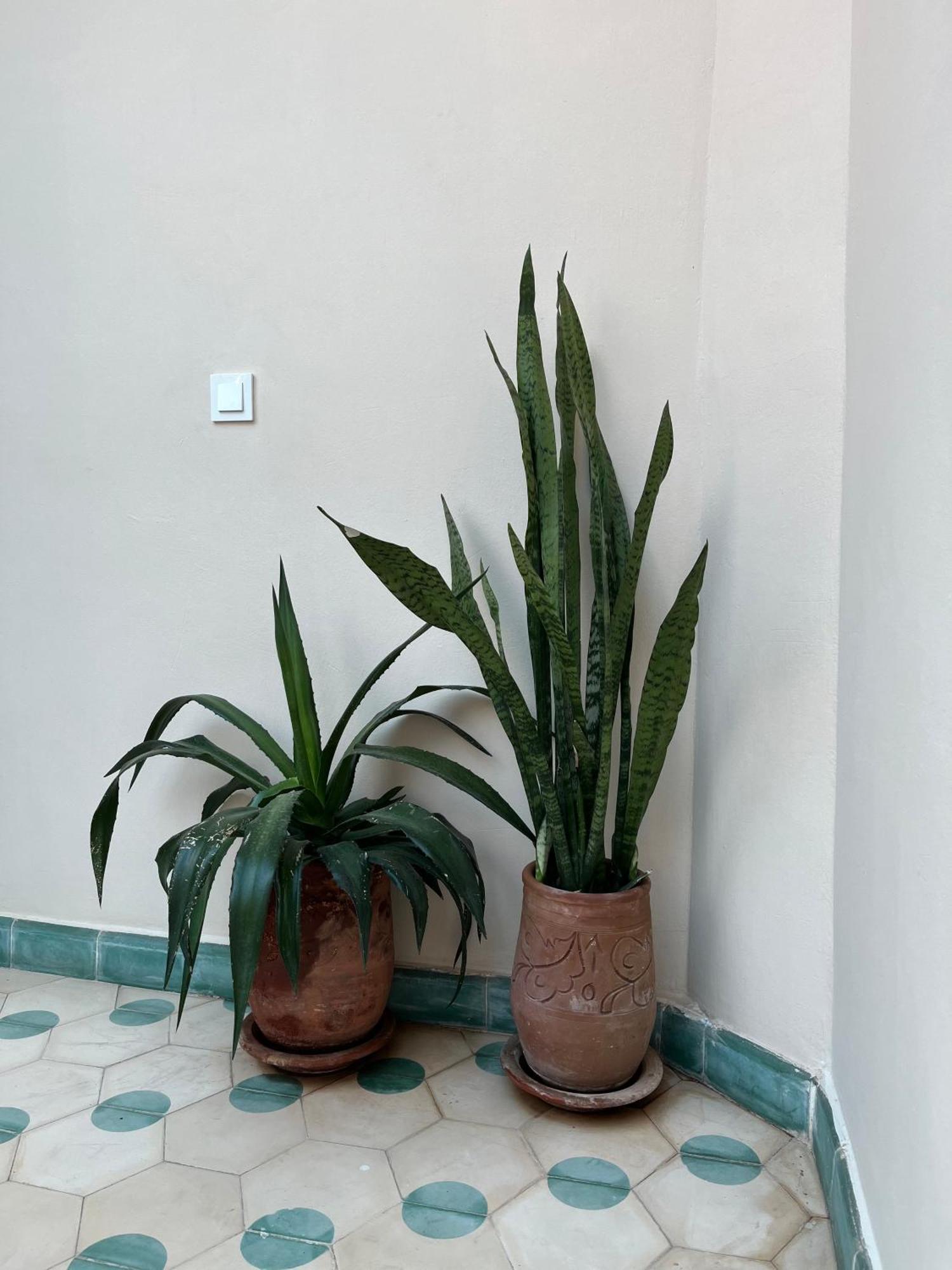Riad Imndi Marrakesh Exterior photo